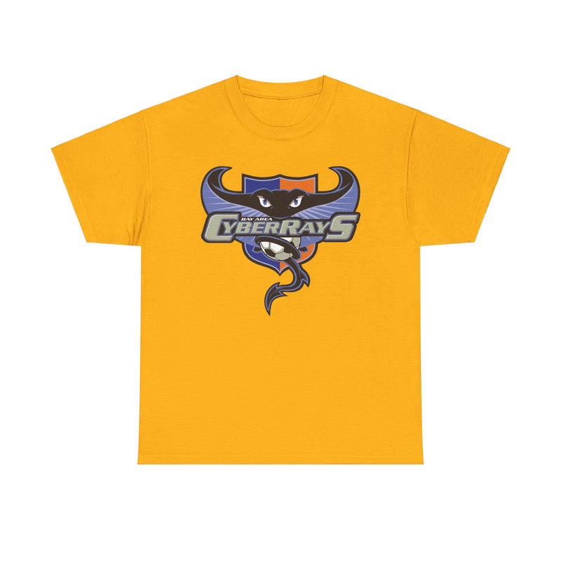 Load image into Gallery viewer, Bay Area CyberRays California Womens United Soccer Association 2001 T-shirt