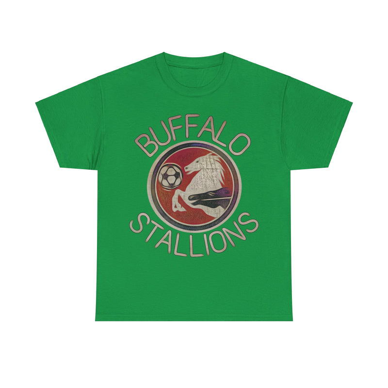 Load image into Gallery viewer, Buffalo Stallions New York Soccer Team T-shirt