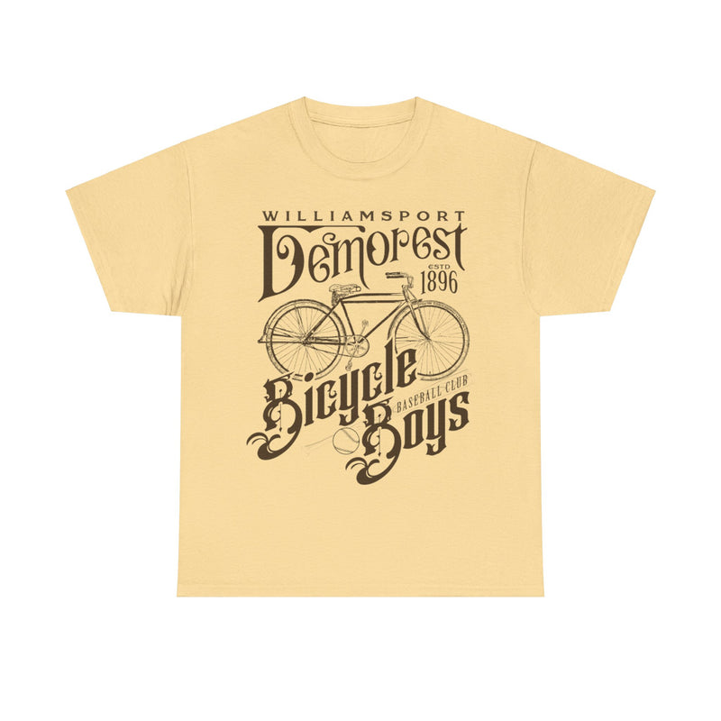 Load image into Gallery viewer, Williamsport Demorest Bicycle Boys Pennsylvania Baseball T-shirt