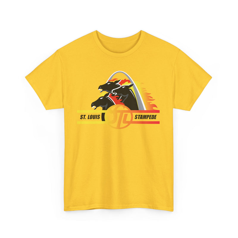 Load image into Gallery viewer, St. Louis Stampede Missouri Arena Football 1995-1996 T-shirt