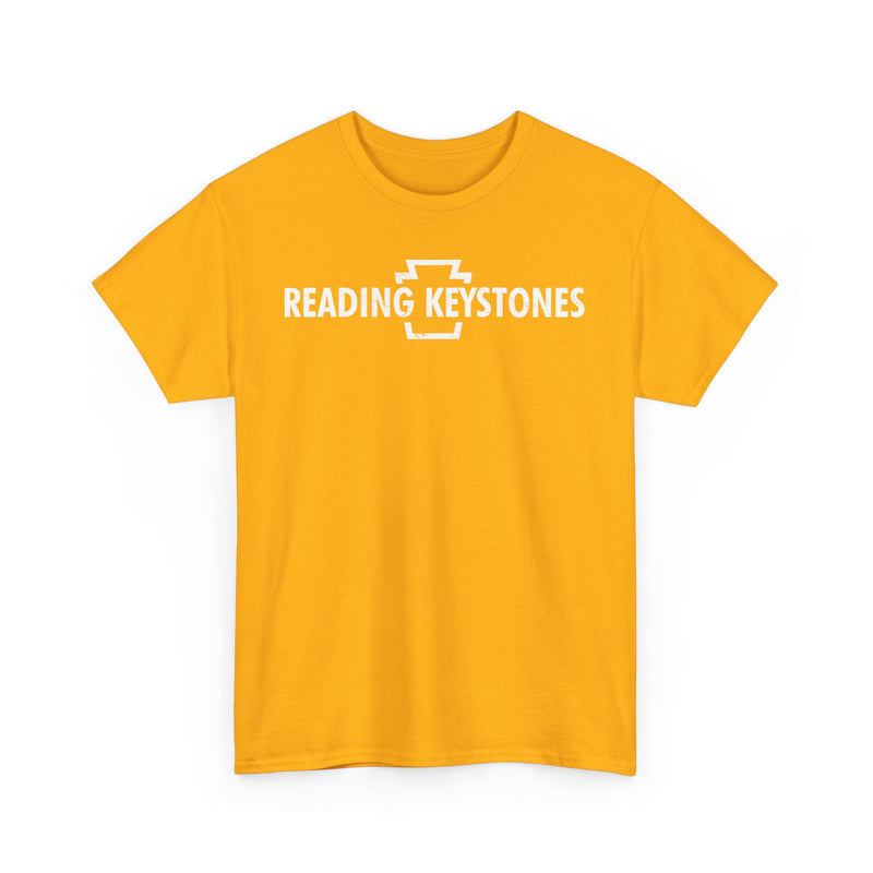 Load image into Gallery viewer, Reading Keystones Pennsylvania Football 1968-1969 T-shirt