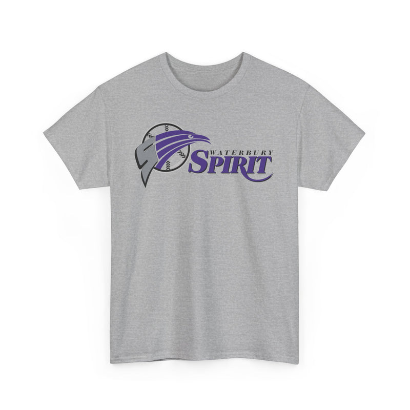 Load image into Gallery viewer, Waterbury Connecticut Spirit Baseball 1997-2000 T-shirt