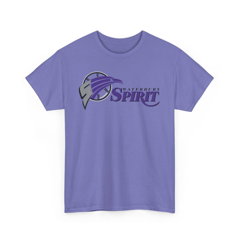 Load image into Gallery viewer, Waterbury Connecticut Spirit Baseball 1997-2000 T-shirt
