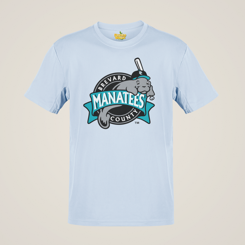 Load image into Gallery viewer, Brevard County Manatees Nostalgic Baseball T-shirt