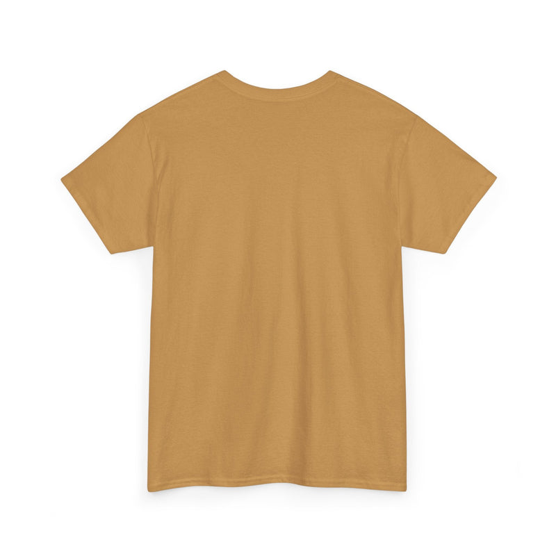 Load image into Gallery viewer, Schaumburg Flyers Illinois Baseball 1999-2010 T-shirt