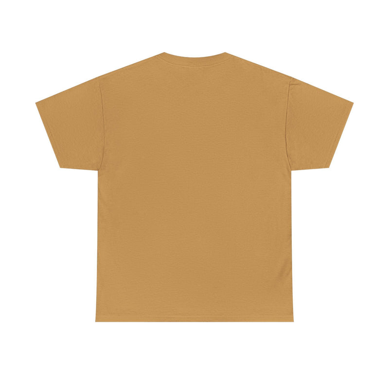 Load image into Gallery viewer, Schaumburg Flyers Illinois Baseball 1999-2010 T-shirt