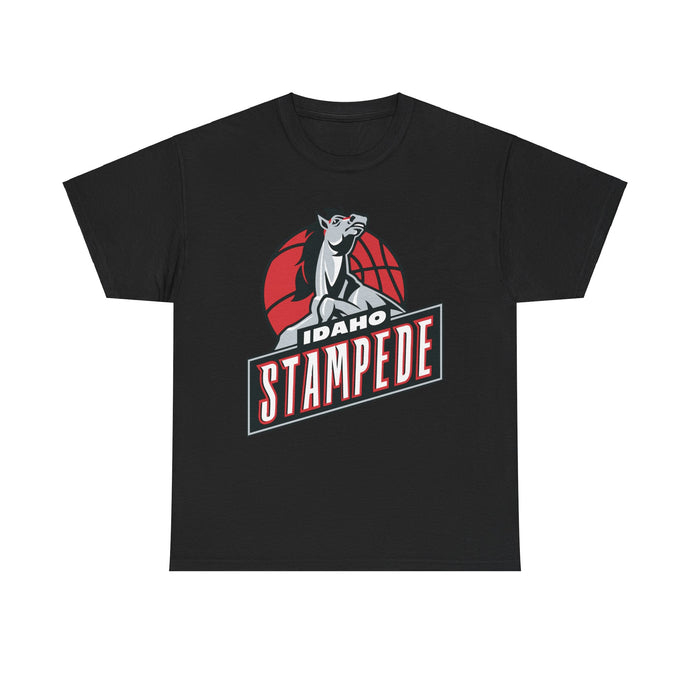 Idaho Stampede Continental Basketball Association NBA D-League 1997-2016 T-shirt