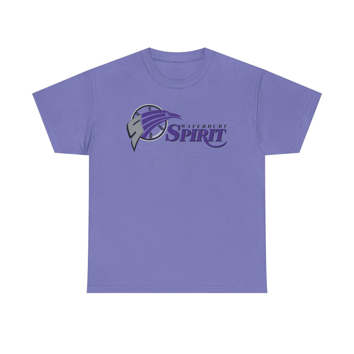 Waterbury Connecticut Spirit Baseball 1997-2000 T-shirt