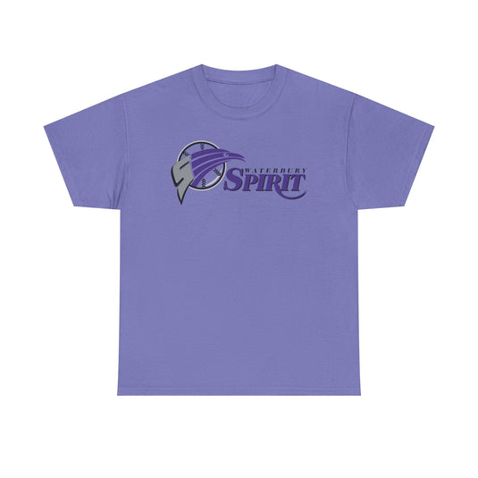 Waterbury Connecticut Spirit Baseball 1997-2000 T-shirt