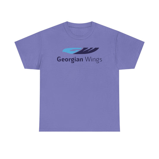 Georgian Wings Airlines Retro Logo T-Shirt Rare Aviation