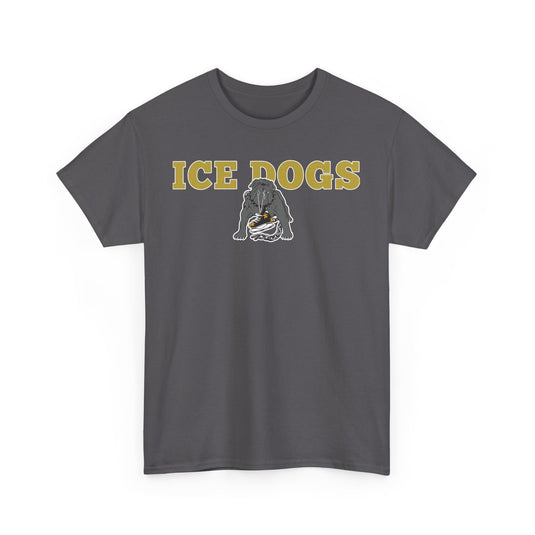 Los Angeles Ice Dogs International Hockey League 1995-1996 California T-shirt