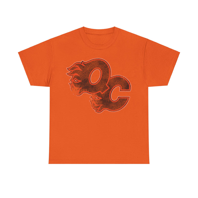 Load image into Gallery viewer, Quad City Flames Illinois Hockey Team T-shirt
