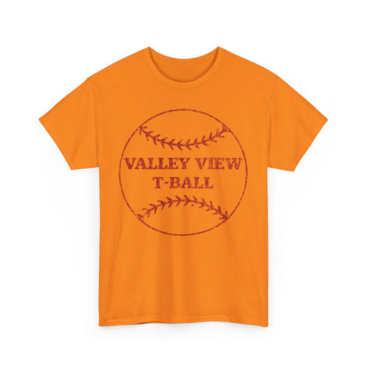 Valley View T-Ball Baseball 1999 Pop Star Sports T-shirt