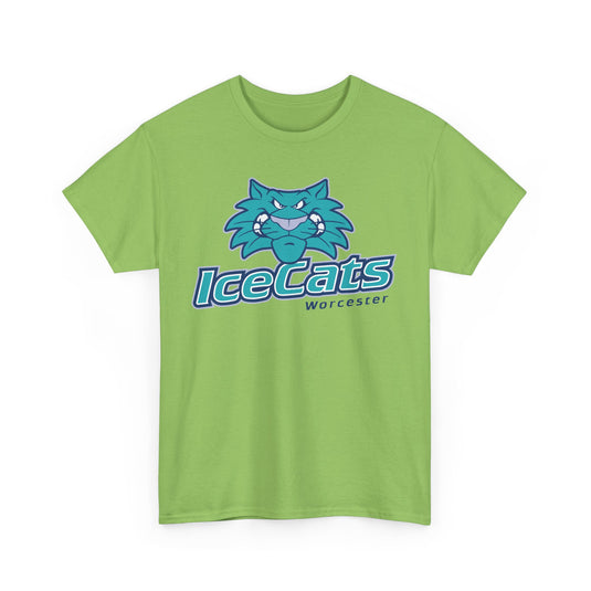 Worcester IceCats Hockey 1994-2005 Massachusetts T-shirt