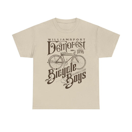 Williamsport Demorest Bicycle Boys Pennsylvania Baseball T-shirt