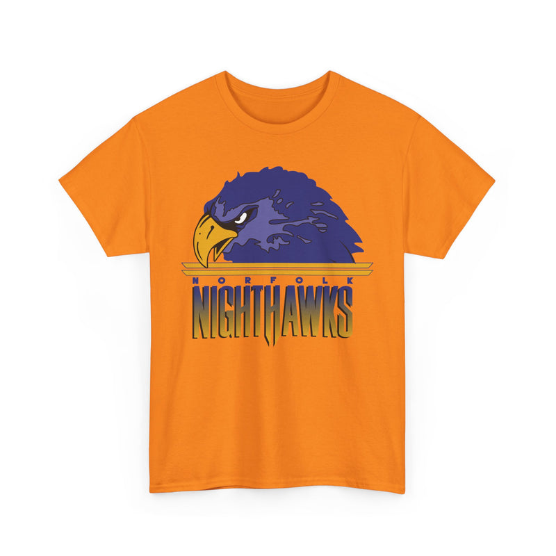 Load image into Gallery viewer, Norfolk Nighthawks Virginia Arena Football 2000-2003 T-shirt
