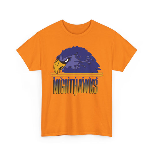 Norfolk Nighthawks Virginia Arena Football 2000-2003 T-shirt