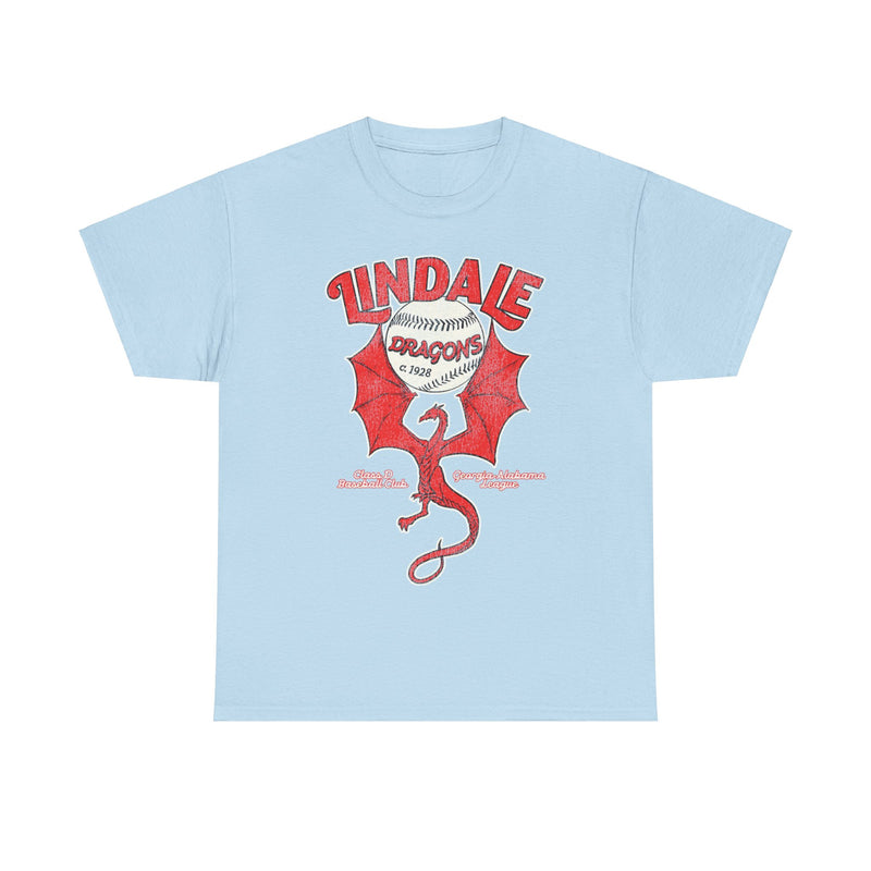 Load image into Gallery viewer, Lindale Dragons Nostalgic Retro Baseball Team T-shirt
