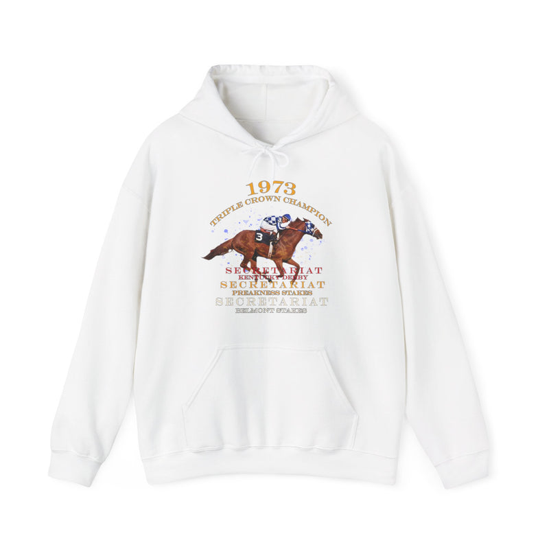 Load image into Gallery viewer, Triple Crown Champion Secretariat 1973 Nostalgic Pullover Hoody
