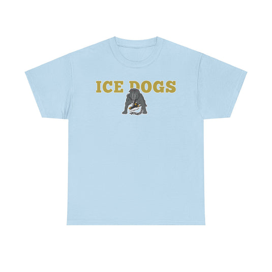 Los Angeles Ice Dogs International Hockey League 1995-1996 California T-shirt