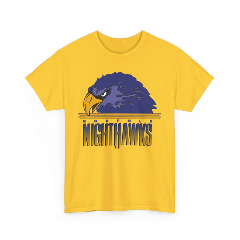 Load image into Gallery viewer, Norfolk Nighthawks Virginia Arena Football 2000-2003 T-shirt
