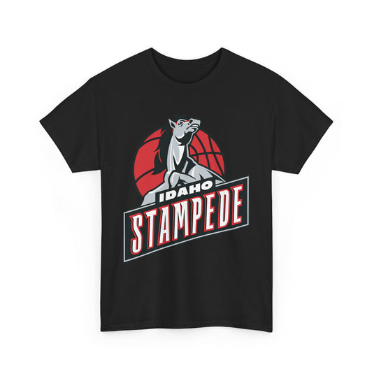 Idaho Stampede Continental Basketball Association NBA D-League 1997-2016 T-shirt