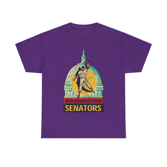 Washington DC Senators Capital Logo Baseball T-shirt