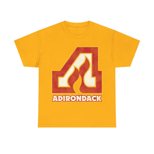 Adirondack Flames New York Ice Hockey T-shirt