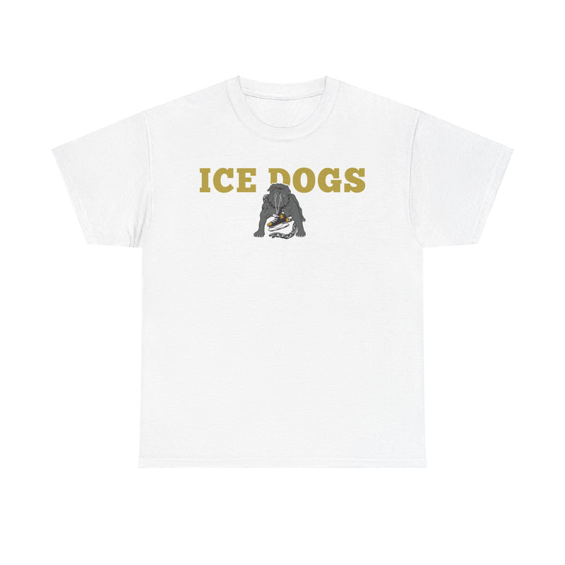 Load image into Gallery viewer, Los Angeles Ice Dogs International Hockey League 1995-1996 California T-shirt
