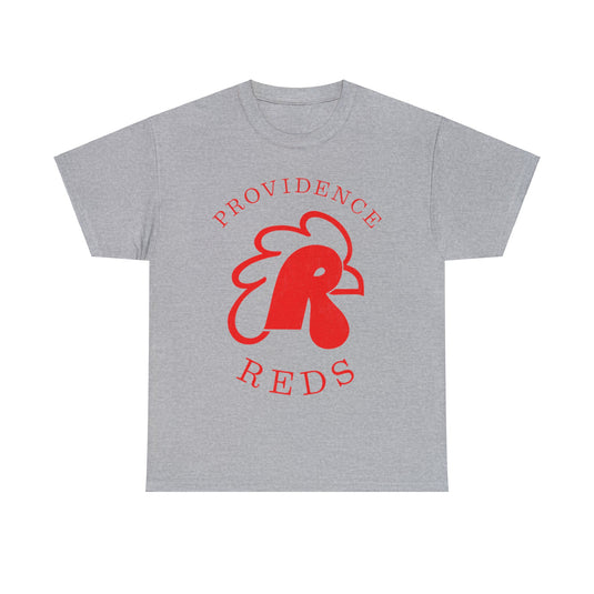 Providence Reds Hockey AHL 1977 Nostalgic Logo T-shirt