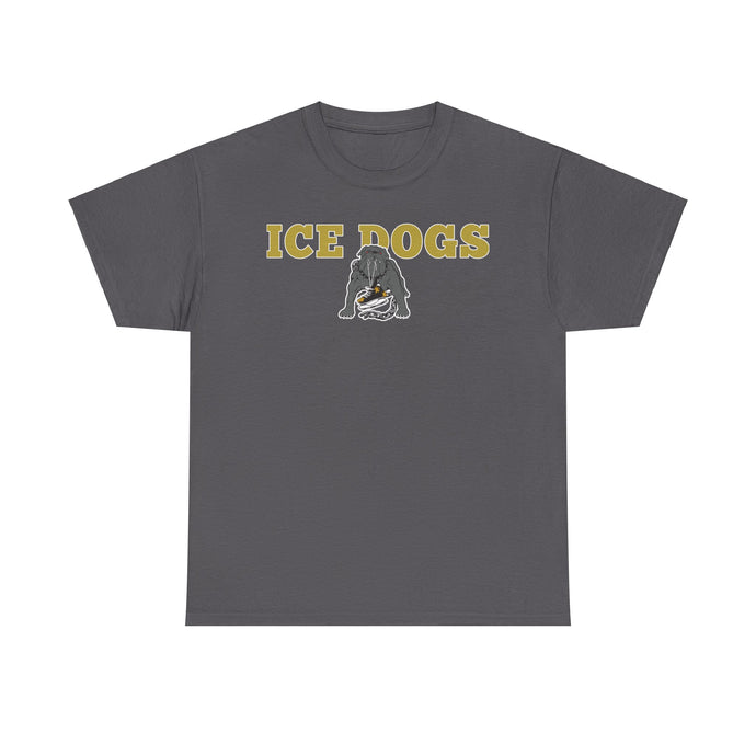 Los Angeles Ice Dogs International Hockey League 1995-1996 California T-shirt