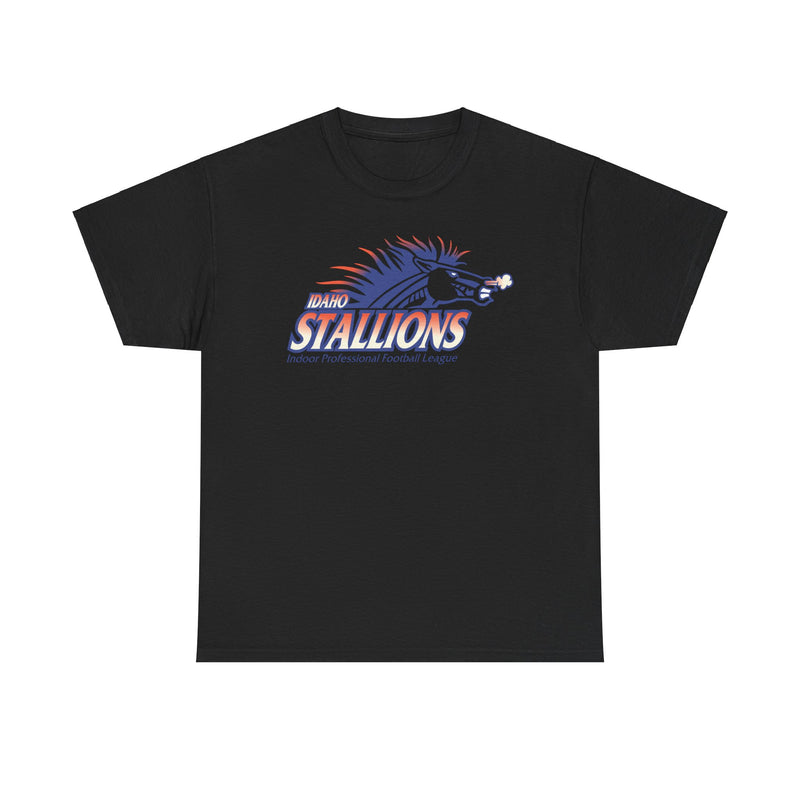 Load image into Gallery viewer, Boise Stallions Idaho Indoor Professional Football League 2001 T-shirt
