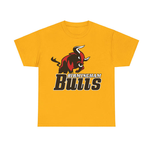 Birmingham Bulls Alabama Football Team T-shirt