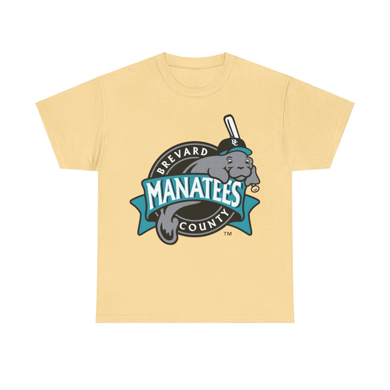 Load image into Gallery viewer, Brevard County Manatees Nostalgic Baseball  T-shirt
