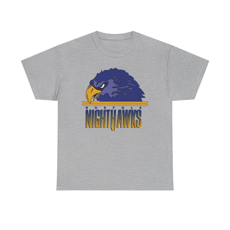 Load image into Gallery viewer, Norfolk Nighthawks Virginia Arena Football 2000-2003 T-shirt
