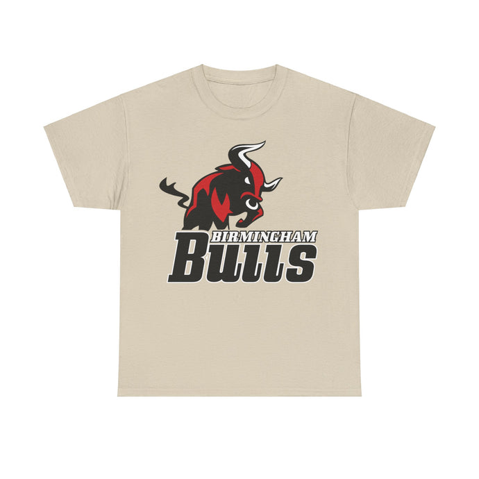 Birmingham Bulls Alabama Football Team T-shirt