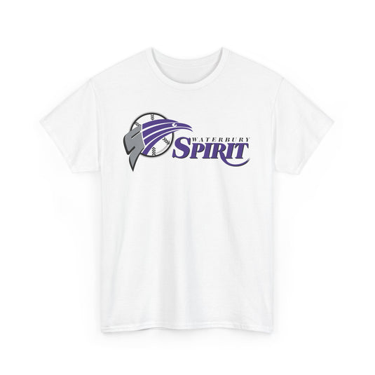 Waterbury Connecticut Spirit Baseball 1997-2000 T-shirt