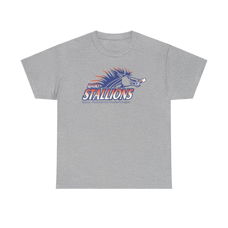 Load image into Gallery viewer, Boise Stallions Idaho Indoor Professional Football League 2001 T-shirt
