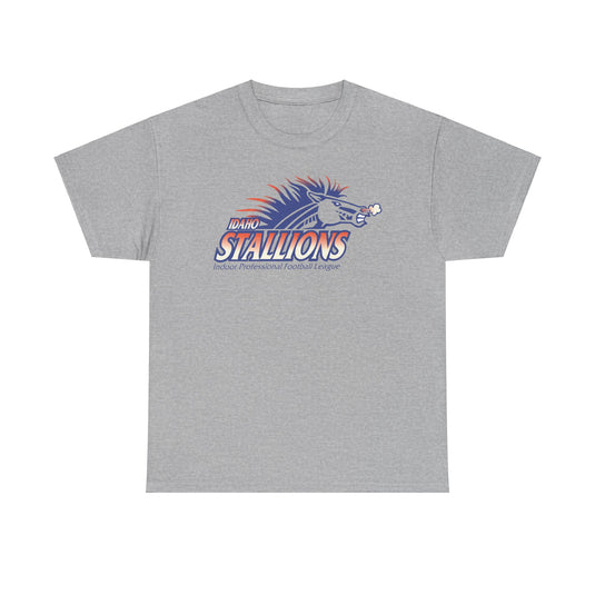 Boise Stallions Idaho Indoor Professional Football League 2001 T-shirt