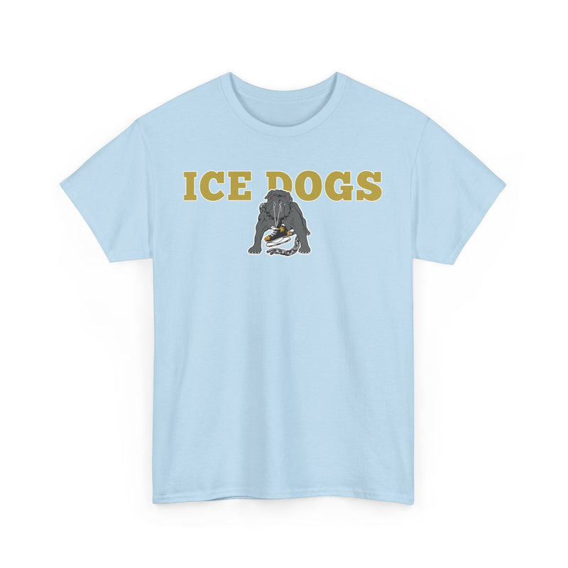 Load image into Gallery viewer, Los Angeles Ice Dogs International Hockey League 1995-1996 California T-shirt
