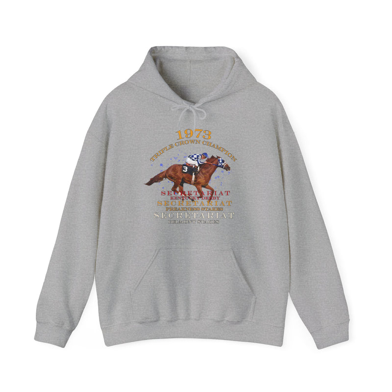 Load image into Gallery viewer, Triple Crown Champion Secretariat 1973 Nostalgic Pullover Hoody

