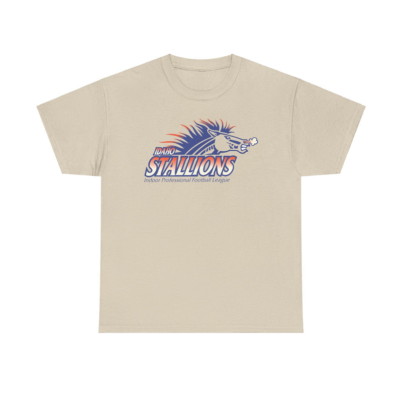 Load image into Gallery viewer, Boise Stallions Idaho Indoor Professional Football League 2001 T-shirt
