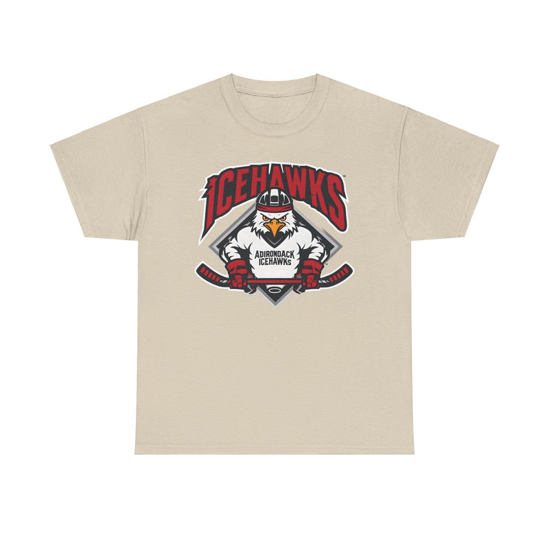 Load image into Gallery viewer, Adirondack Ice Hawks New York Hockey T-shirt
