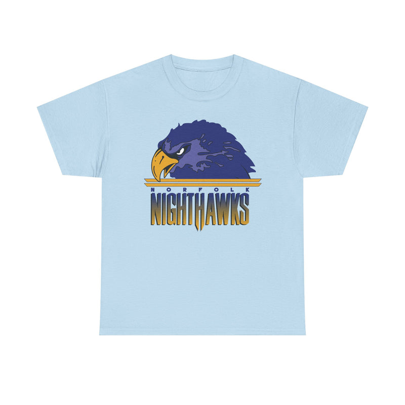 Load image into Gallery viewer, Norfolk Nighthawks Virginia Arena Football 2000-2003 T-shirt
