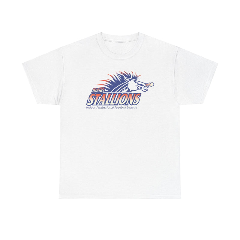 Load image into Gallery viewer, Boise Stallions Idaho Indoor Professional Football League 2001 T-shirt
