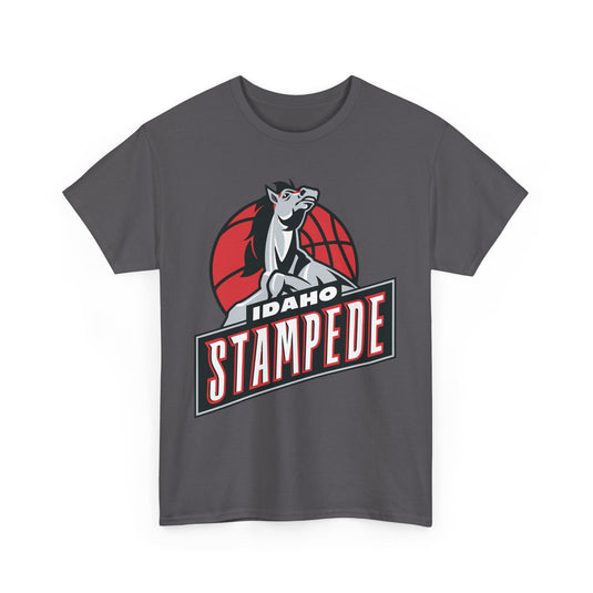 Idaho Stampede Continental Basketball Association NBA D-League 1997-2016 T-shirt