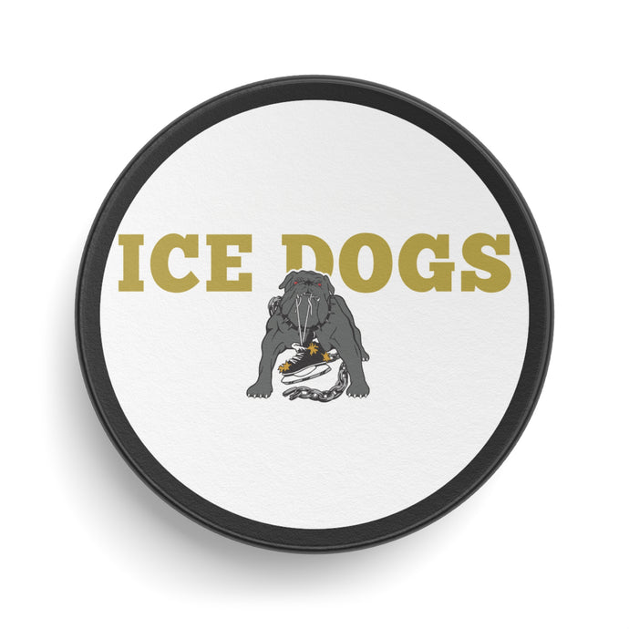 Los Angeles Ice Dogs International League 1995-1996 California Hockey Puck