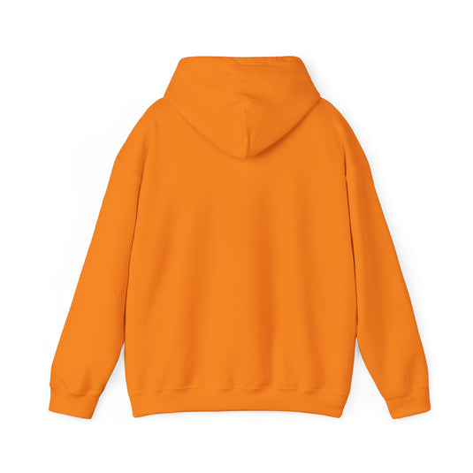 United Colors of Benetton Retail Store Logo Pullover Hoody