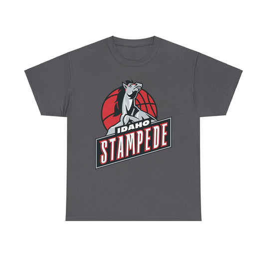 Idaho Stampede Continental Basketball Association NBA D-League 1997-2016 T-shirt