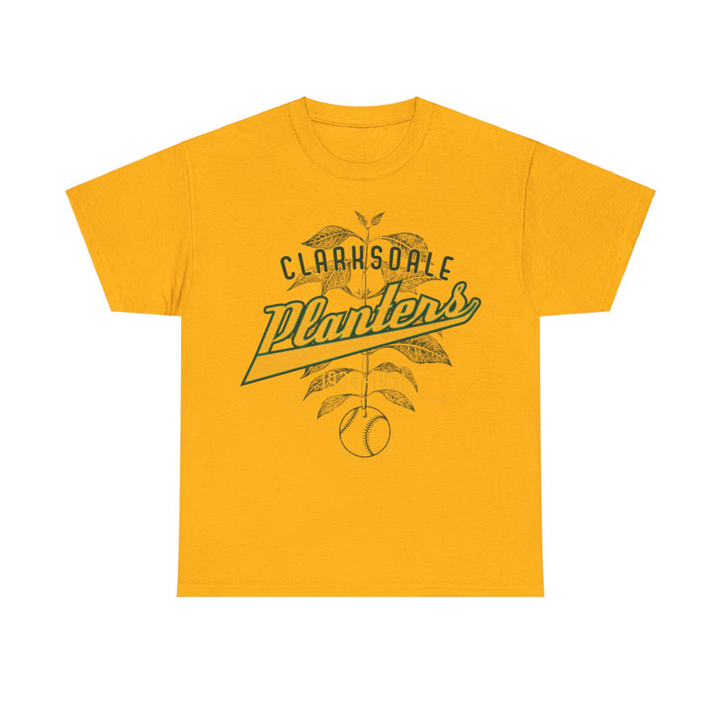 Load image into Gallery viewer, Clarksdale Planters Est 1934 Mississippi Baseball T-shirt
